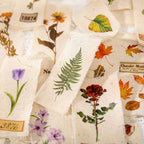 Abziehbild mit Trockenblumenmotiv
