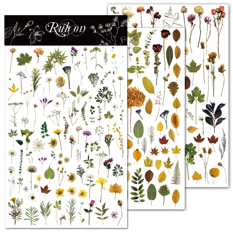 Autocollants à frotter à l'effigie de fleurs séchées vintage – Transferts inspirés par la nature pour agendas et loisirs créatifs