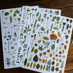 Vintage Dried Flower Rub-On Stickers – Nature-Inspired Transfers for Planners & Crafts