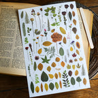 Vintage Dried Flower Rub-On Stickers – Nature-Inspired Transfers for Planners & Crafts