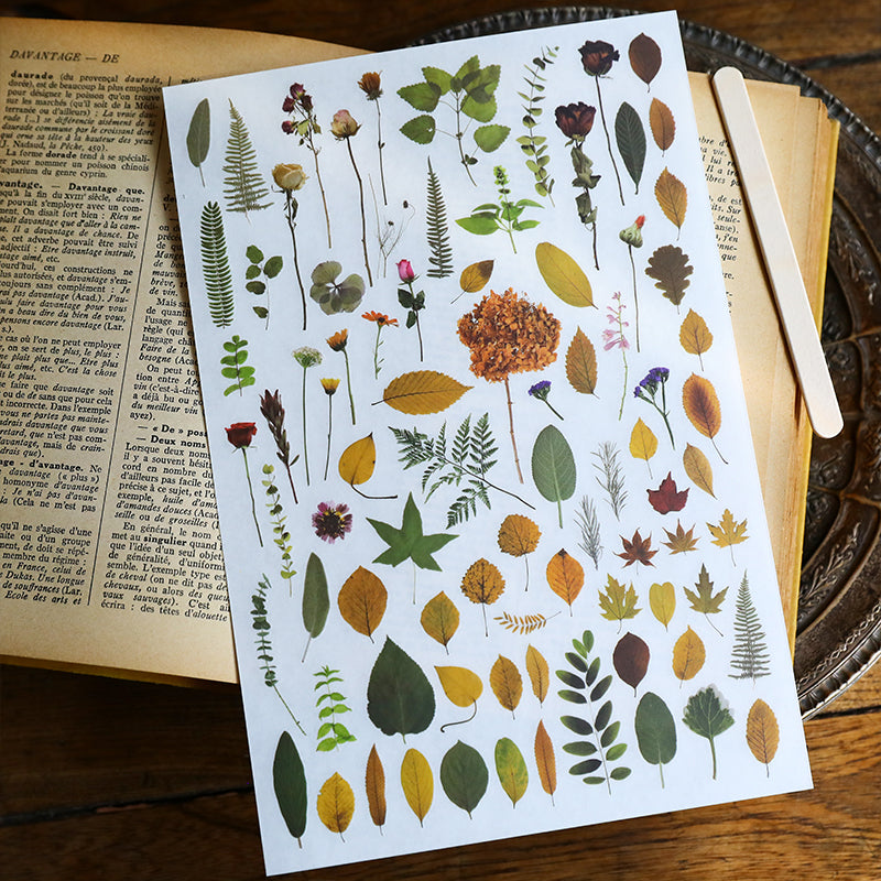 Vintage Dried Flower Rub-On Stickers – Nature-Inspired Transfers for Planners & Crafts