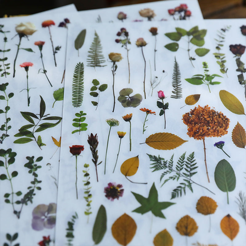 Vintage Dried Flower Rub-On Stickers – Nature-Inspired Transfers for Planners & Crafts