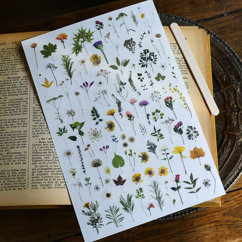 Autocollants à frotter à l'effigie de fleurs séchées vintage – Transferts inspirés par la nature pour agendas et loisirs créatifs