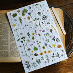 Vintage Dried Flower Rub-On Stickers – Nature-Inspired Transfers for Planners & Crafts