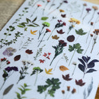 Vintage Dried Flower Rub-On Stickers – Nature-Inspired Transfers for Planners & Crafts