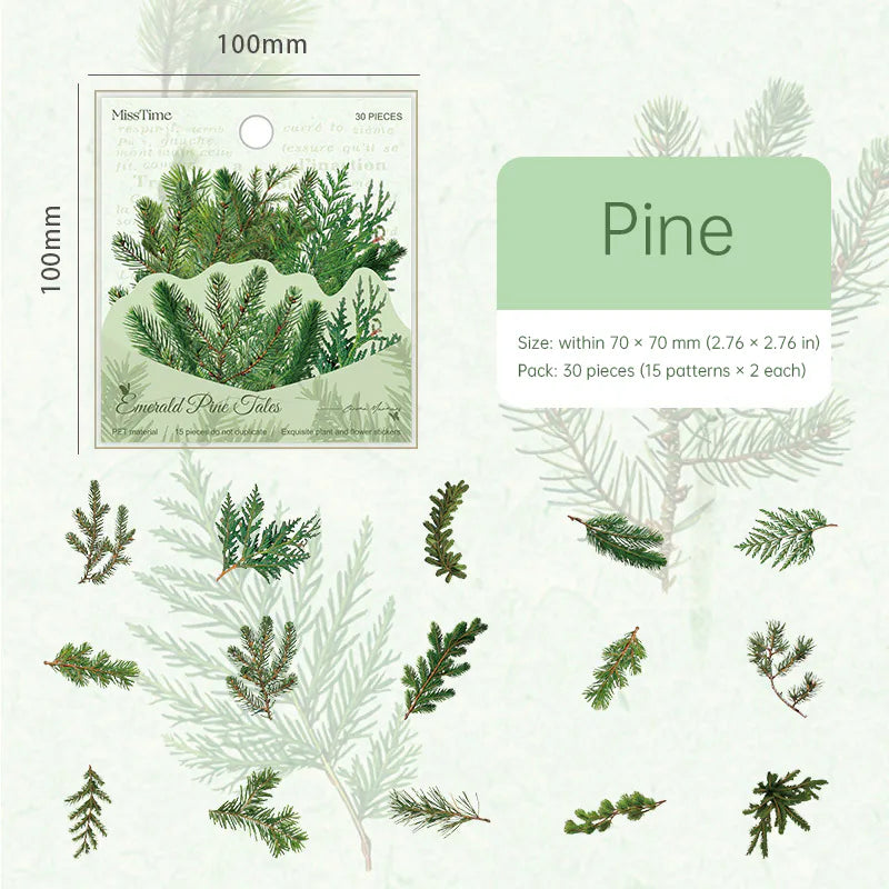 Autocollants PET découpés à l'emporte-pièce à motifs botaniques | Éphémères pour journaling floral et végétal