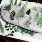 Botanische Farn-Pergament-Stanzsticker