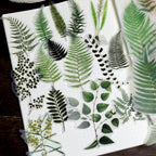 Botanische Farn-Pergament-Stanzsticker