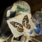 Schmetterlings-Aufkleber zum Aufkleben | Journaling- und Scrapbooking-Zubehör