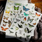 Schmetterlings-Aufkleber zum Aufkleben | Journaling- und Scrapbooking-Zubehör