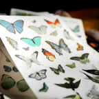 Schmetterlings-Aufkleber zum Aufkleben | Journaling- und Scrapbooking-Zubehör