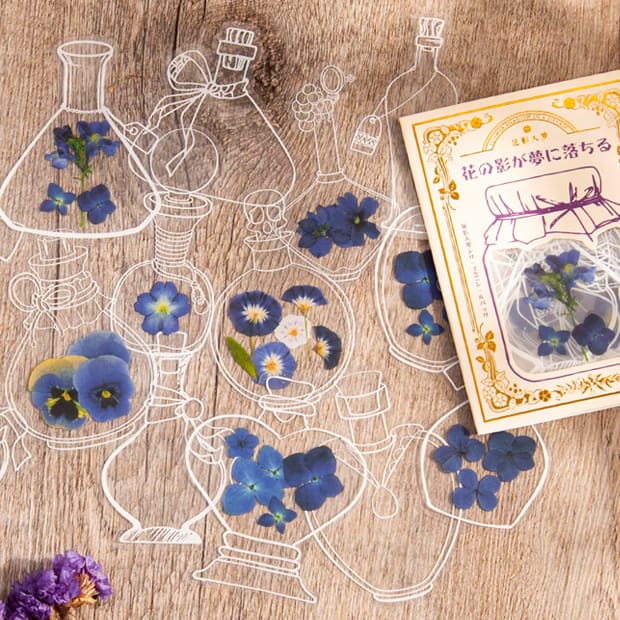 Clear Transparent Bottle Sticker Daisy Rose Pressed Flower