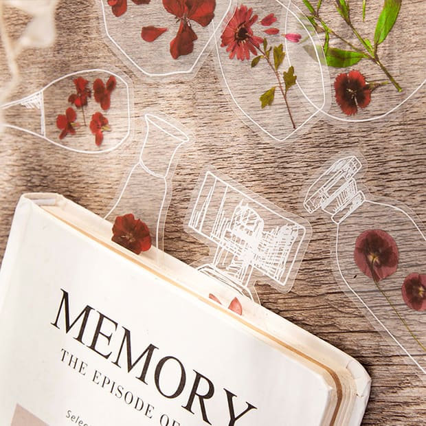 Clear Transparent Bottle Sticker Daisy Rose Pressed Flower