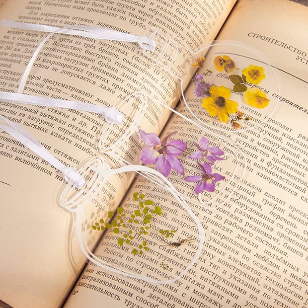 Clear Transparent Bottle Sticker Daisy Rose Pressed Flower