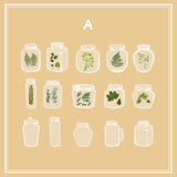 クリア透明ボトルステッカーデイジーローズ押し花