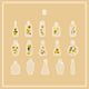Clear Transparent Bottle Sticker Daisy Rose Pressed Flower