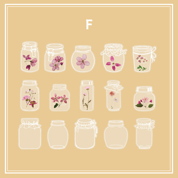 Clear Transparent Bottle Sticker Daisy Rose Pressed Flower