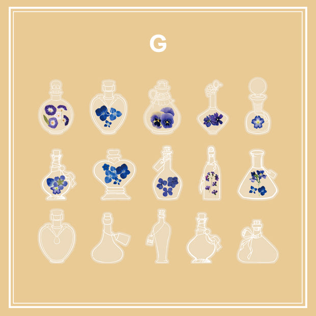 Clear Transparent Bottle Sticker Daisy Rose Pressed Flower