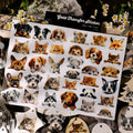 Cute Cat  Dog  Panda UV DTF Transfer Stickers