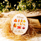 Fall Vibes Transfer Stickers