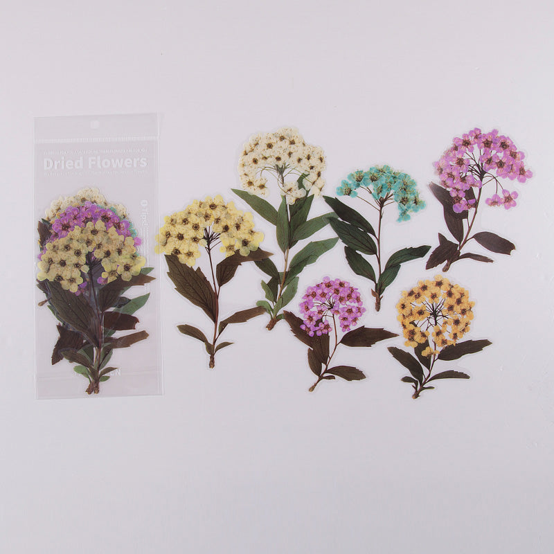 Pack d'autocollants pour journal intime en PET à motif de fleurs