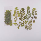 Flower PET Sticker Journal Stickers Pack