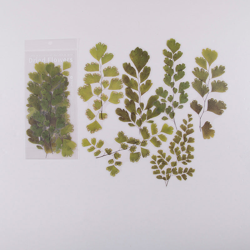 Pack d'autocollants pour journal intime en PET à motif de fleurs
