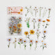 Flower PET Sticker Transparent Sticker