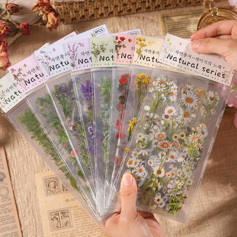 Stickers Fleurs de Marguerite – Série Naturelle