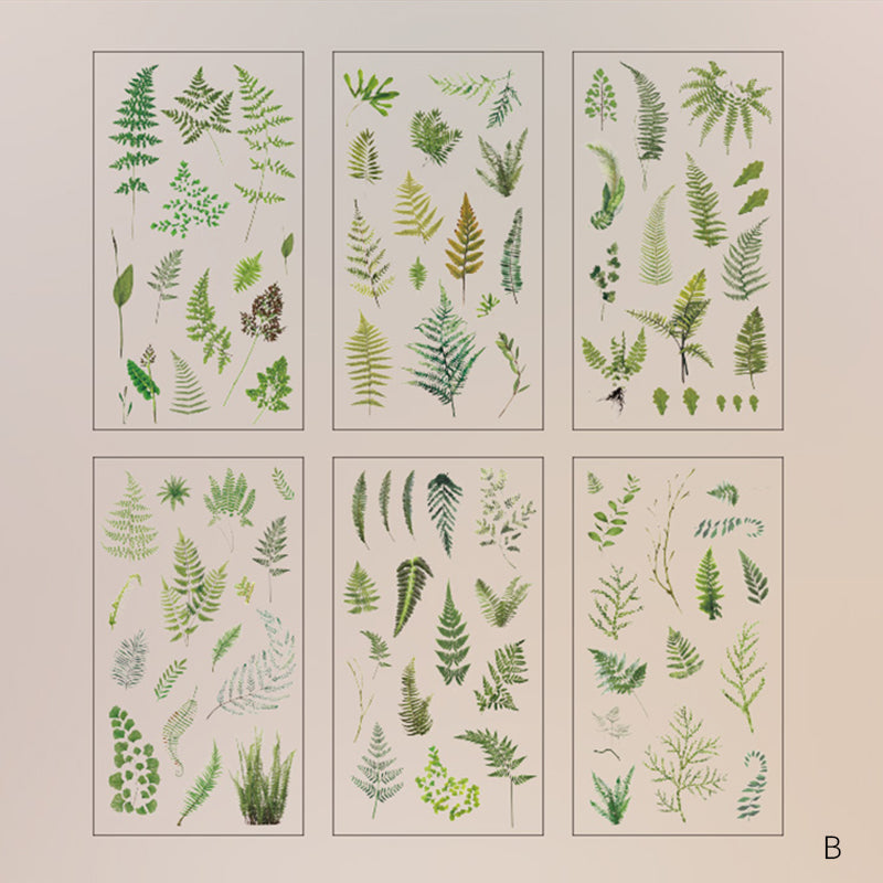 Stickers Fleurs de Marguerite – Série Naturelle