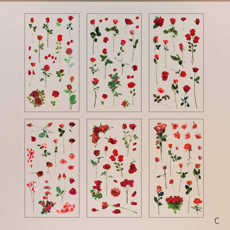 Stickers Fleurs de Marguerite – Série Naturelle