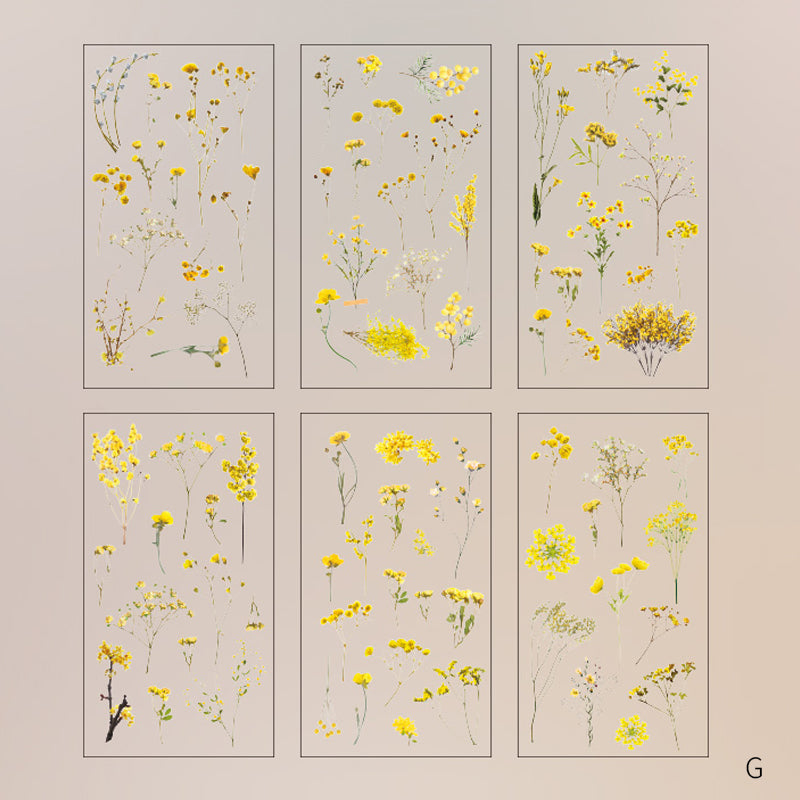 Daisy Flower Stickers – Natürliche Serie