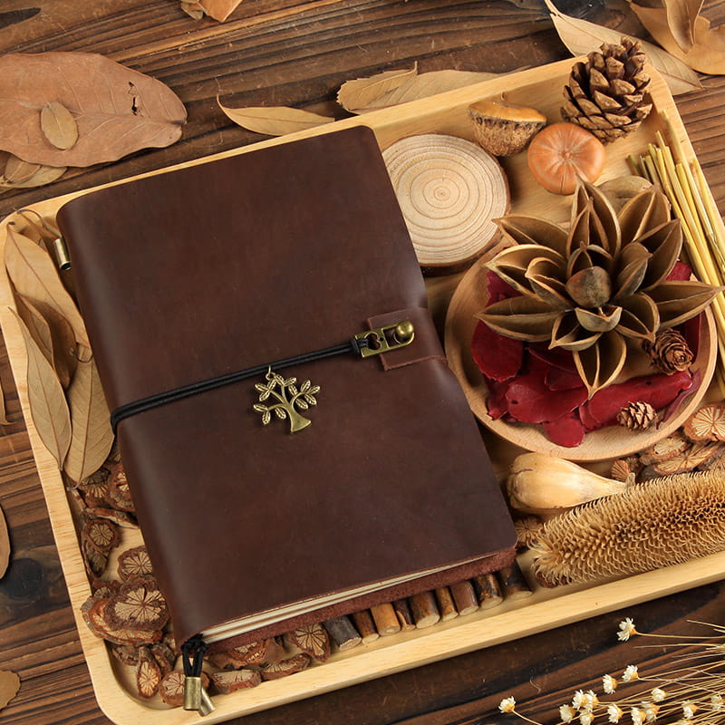 TRAVELER'S Notebook Passport Size journal Cover Brown