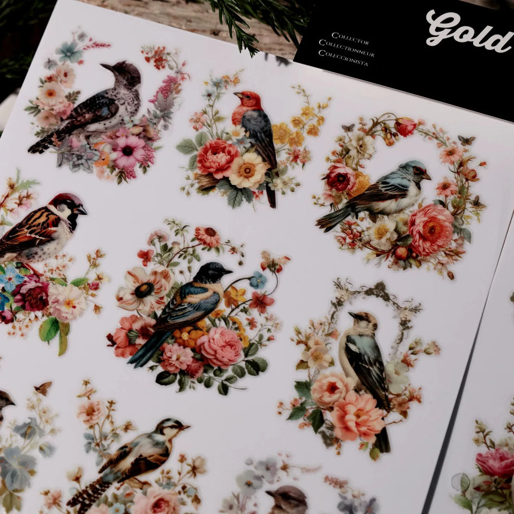 Autocollants Transfert Colibri & Oiseaux