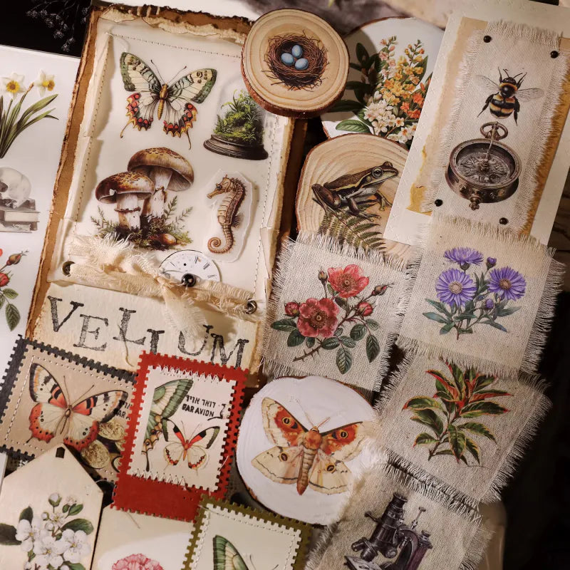 Nature Field Notes Rub-On Transfer Stickers | Forest Animals & Plants