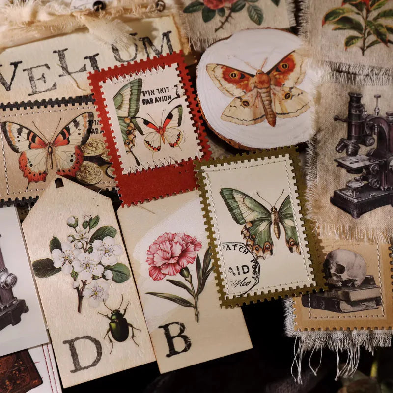 Nature Field Notes Rub-On Transfer Stickers | Forest Animals & Plants