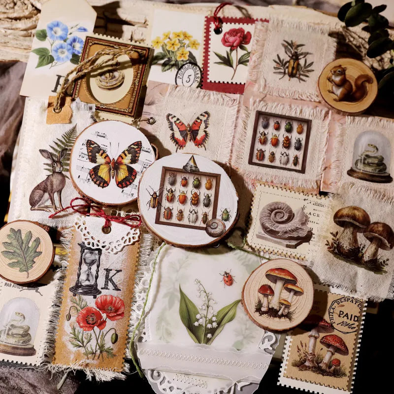 Nature Field Notes Rub-On Transfer Stickers | Forest Animals & Plants