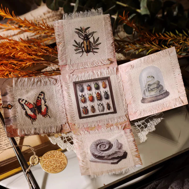 Nature Field Notes Rub-On Transfer Stickers | Forest Animals & Plants