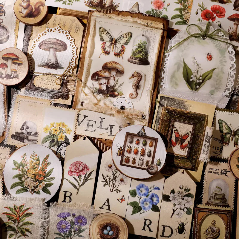 Nature Field Notes Rub-On Transfer Stickers | Forest Animals & Plants