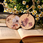 Naturtagebuch-Aufkleber zum Aufreiben | Botanische und Schmetterlingsmotive