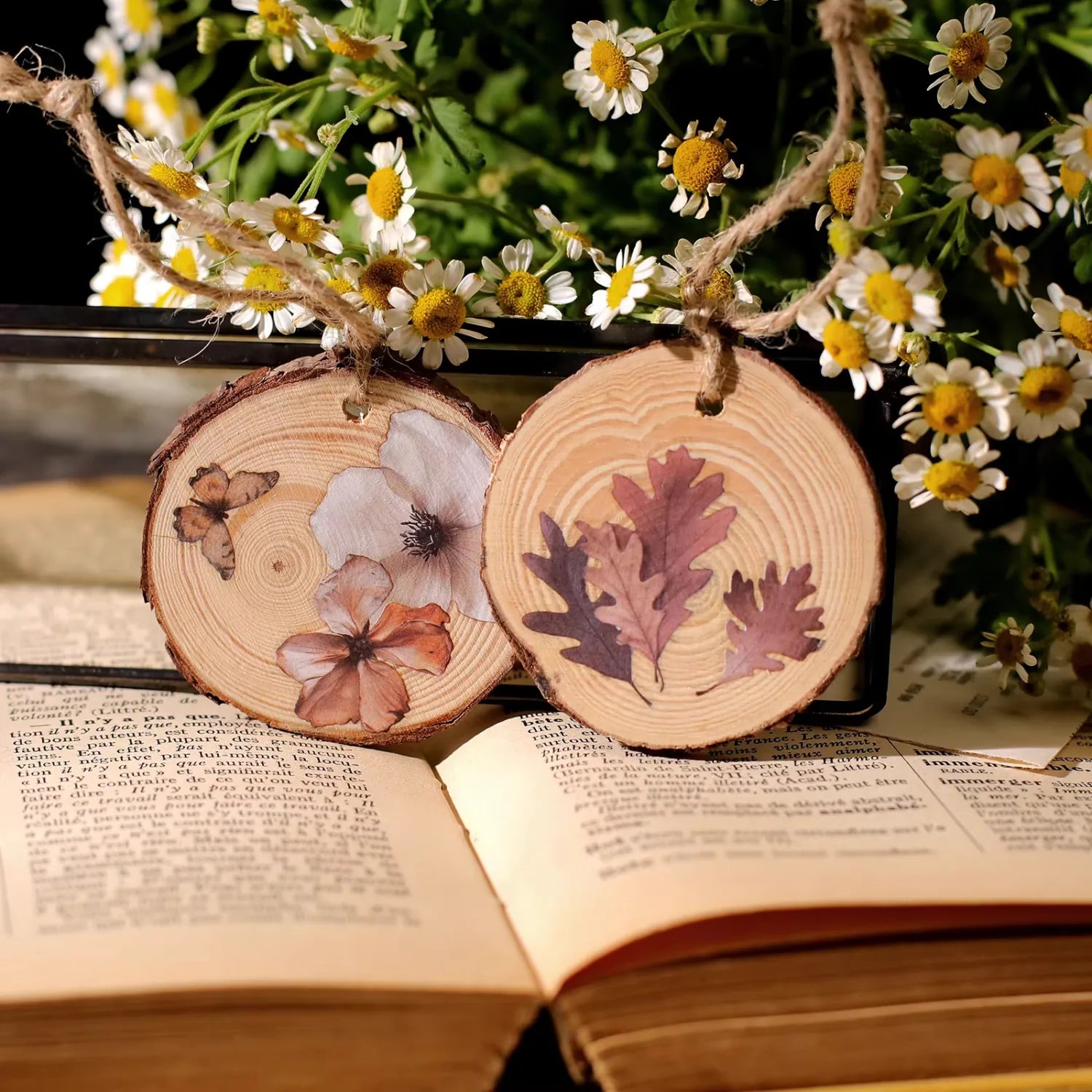 Naturtagebuch-Aufkleber zum Aufreiben | Botanische und Schmetterlingsmotive