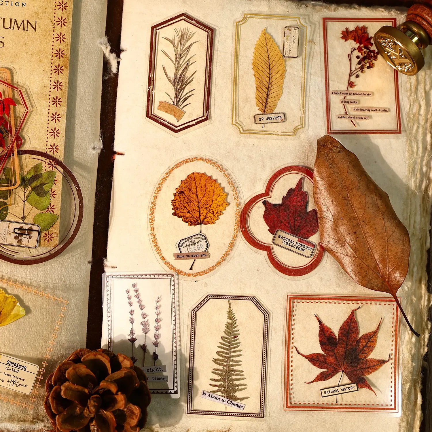 Autocollants PET de la série Nature – Feuilles et papillons, style tampon floral