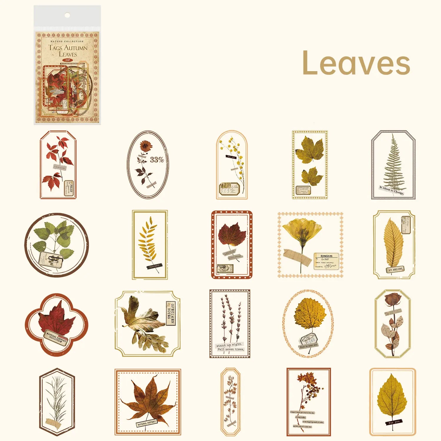 Autocollants PET de la série Nature – Feuilles et papillons, style tampon floral
