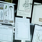 Lot de Papiers de Notes Éphémères Vintage Beige Neutre