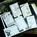Lot de Papiers de Notes Éphémères Vintage Beige Neutre
