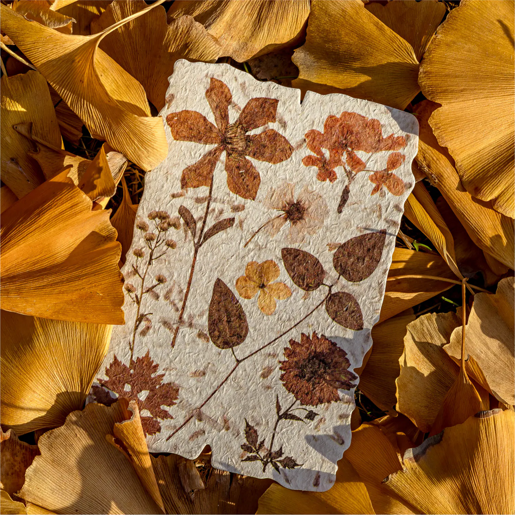 Papirpakke med pressede blomster (ephemera)