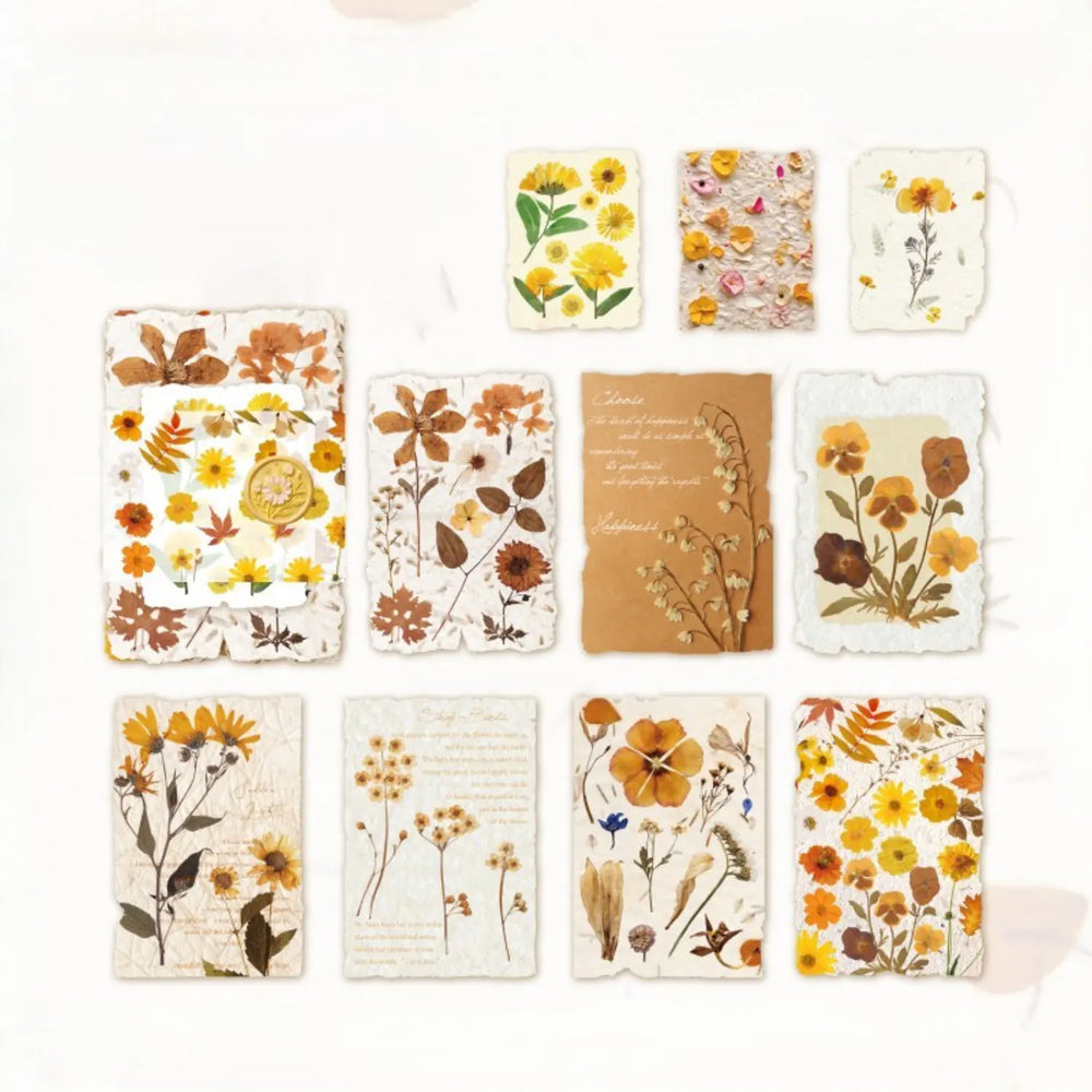 Lot de papier éphémère à fleurs séchées
