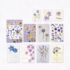 Papirpakke med pressede blomster (ephemera)