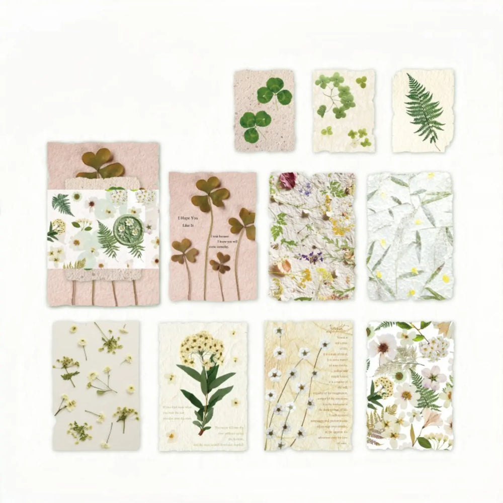Lot de papier éphémère à fleurs séchées