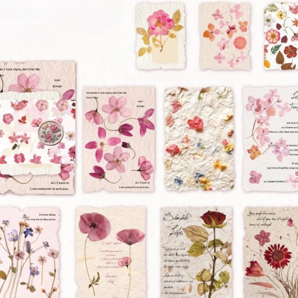 Lot de papier éphémère à fleurs séchées